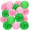 15 Pcs Witch Theme Party Decorations Green and Pink Party Decorations Birthday Tissue Paper Pom Pom Lanterns Supplies for Girls Women Princess Birthday Decor